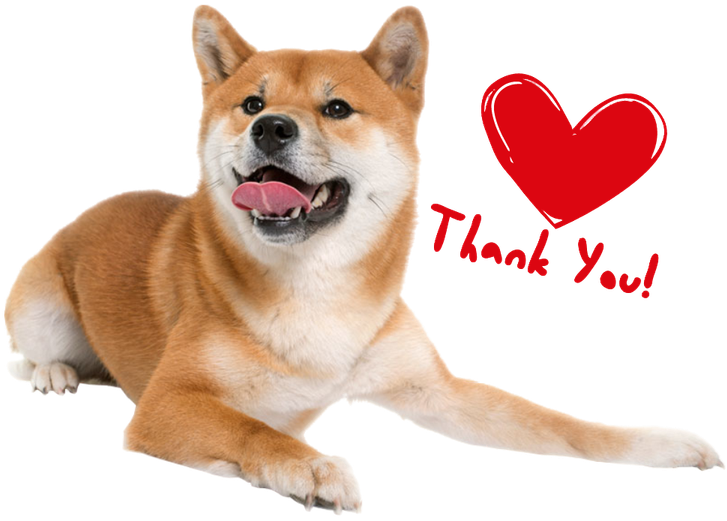 Akita Inu agradeciendo