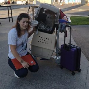 Itsumo Go traslado seguro y cómodo #10