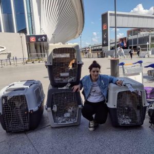 Itsumo Go traslado seguro y cómodo #11