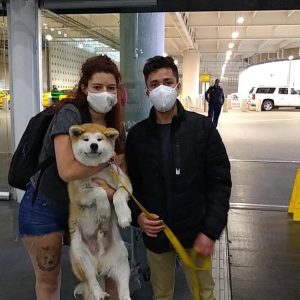 Itsumo Go traslado seguro y cómodo #12