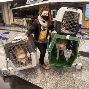 Itsumo Go traslado seguro y cómodo #13