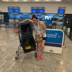 Itsumo Go traslado seguro y cómodo #7