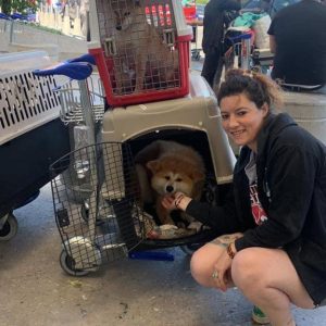 Itsumo Go traslado seguro y cómodo #8