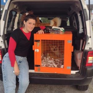 Itsumo Go traslado seguro y cómodo #9